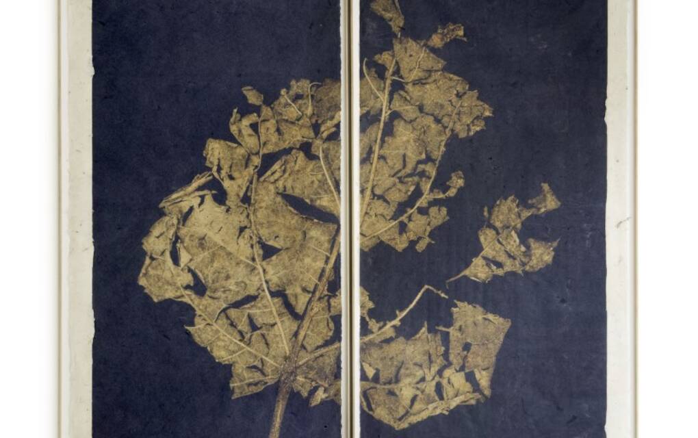 Een tweeluik uit de tentoonstelling van Joost Vandebrug.