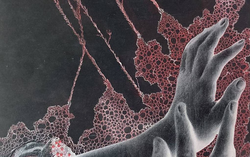 Nynke Deinema | Female Hands